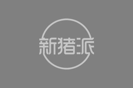 20年养鸡大户改养猪，一年赚60万